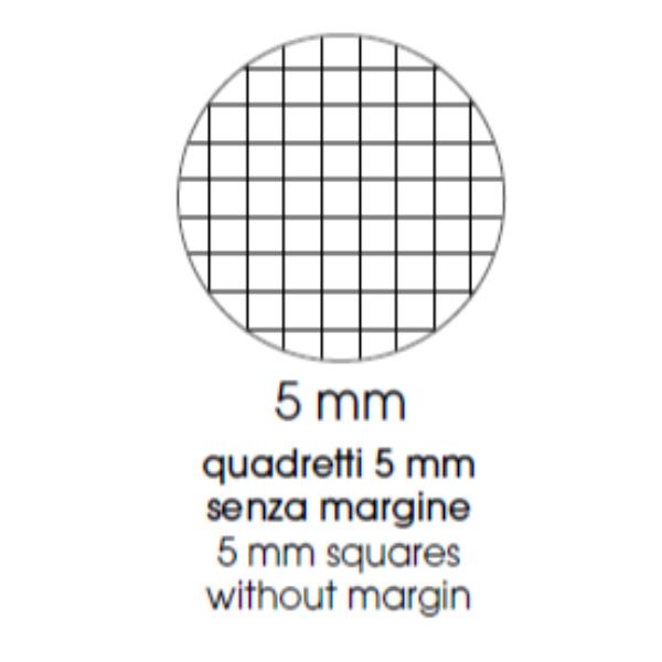 Maxiquaderno Animal fantasia - A4 - 5mm - …