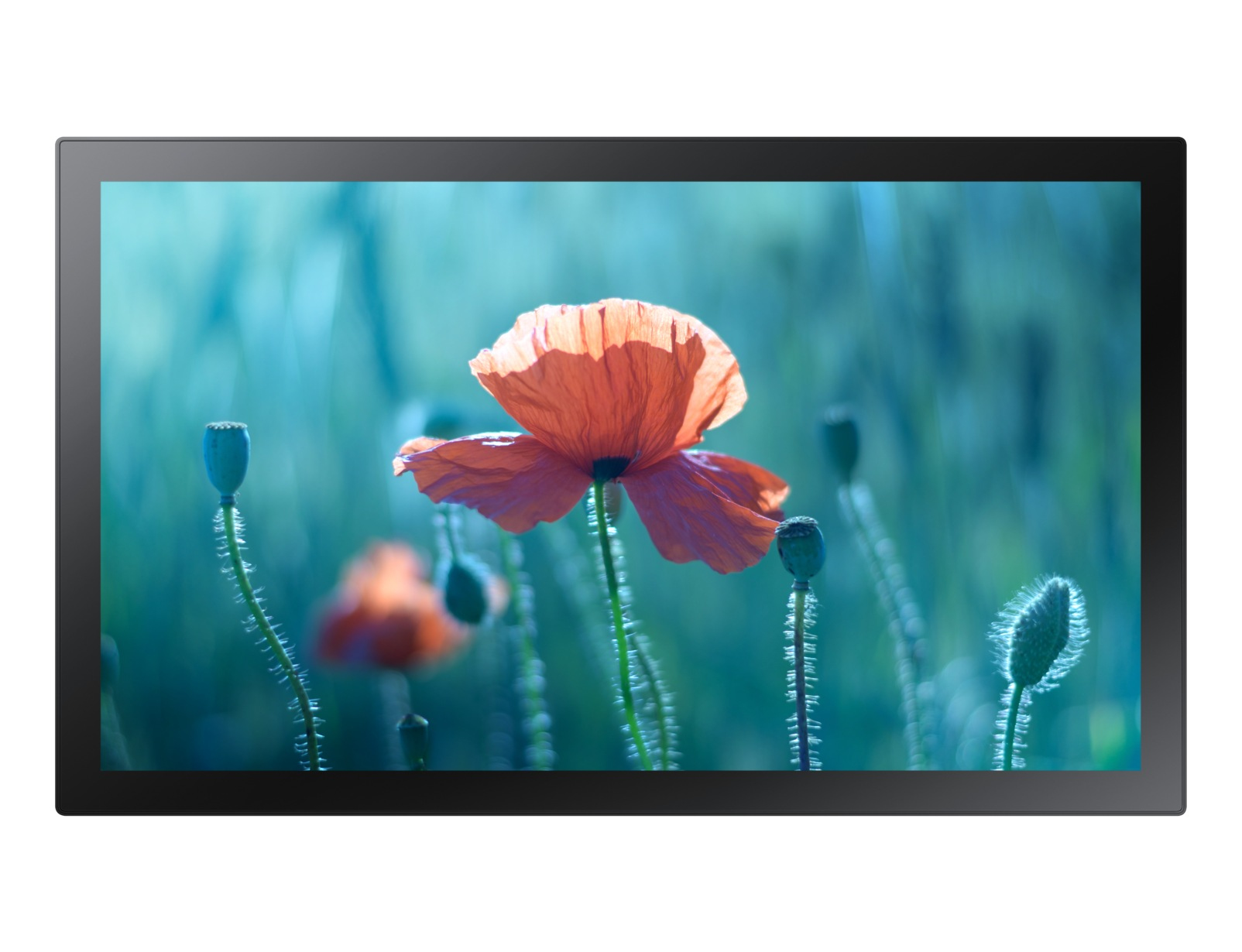 Samsung QB13R-T - 13" Categoria diagonale QBR Series …