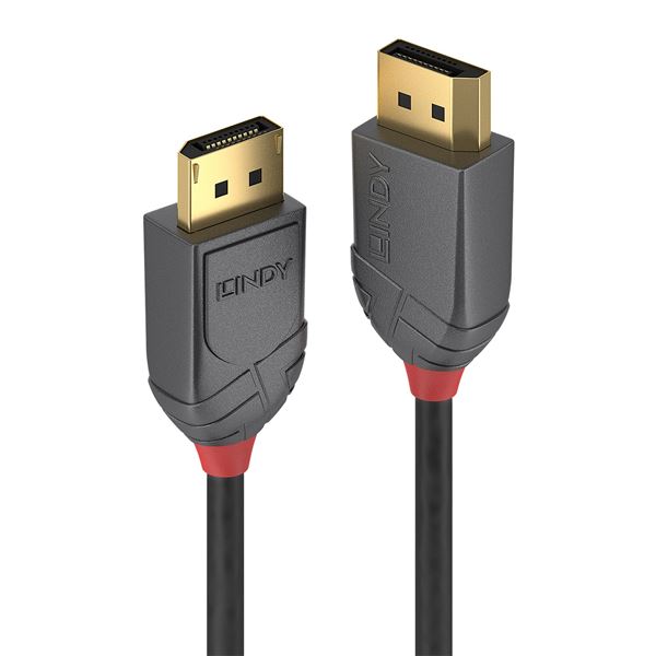 Lindy Anthra Line - Cavo DisplayPort - DisplayPort …