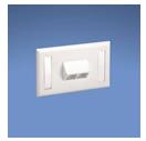 Panduit NetKey Horizontal Sloped Screw-On Faceplate - Faceplate …