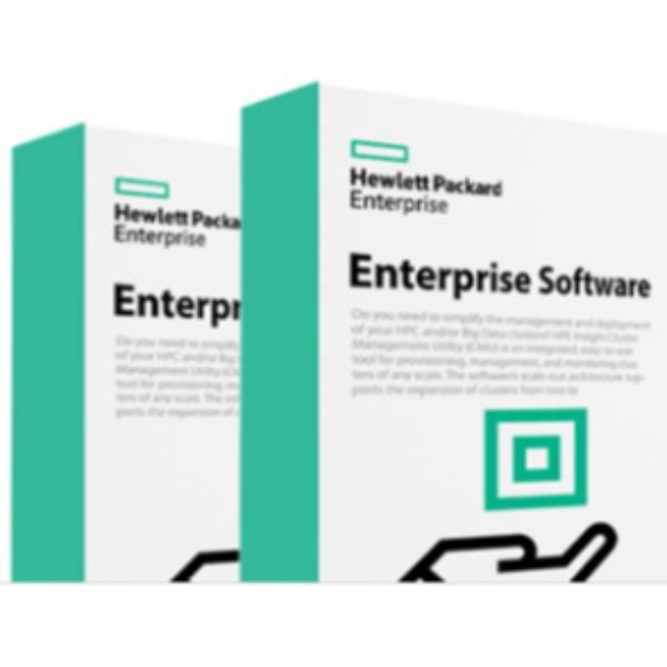 HPE Aruba Virtual Mobility Controller (RW) - Licenza …