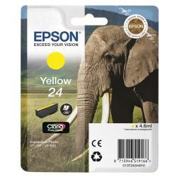 Epson 24 - 4.6 ml - giallo - …