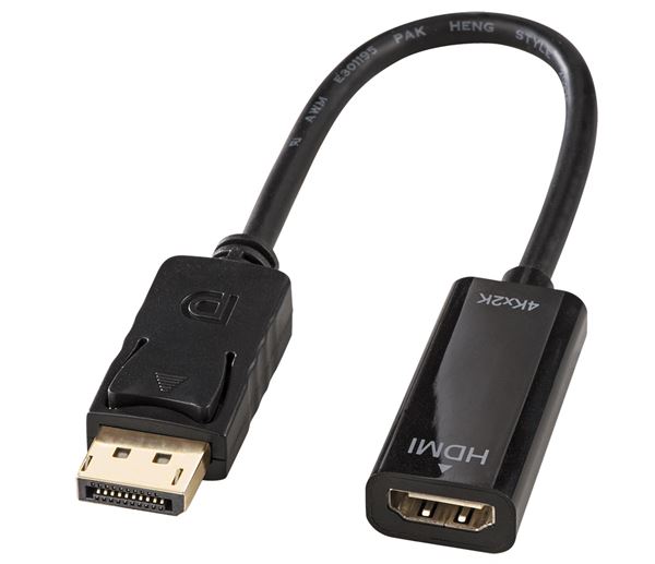 Lindy - Adattatore video - DisplayPort maschio a …