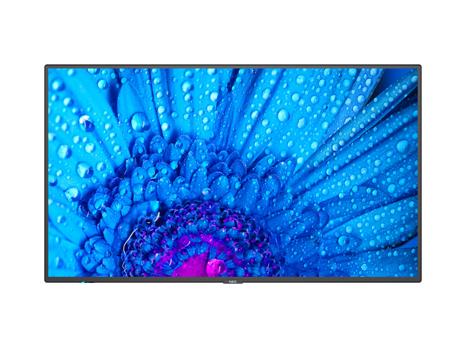 NEC MultiSync M431 - 43" Categoria diagonale M …