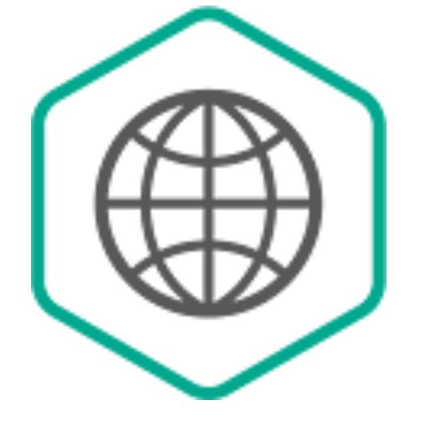 Kaspersky Security for Internet Gateway - Licenza a …