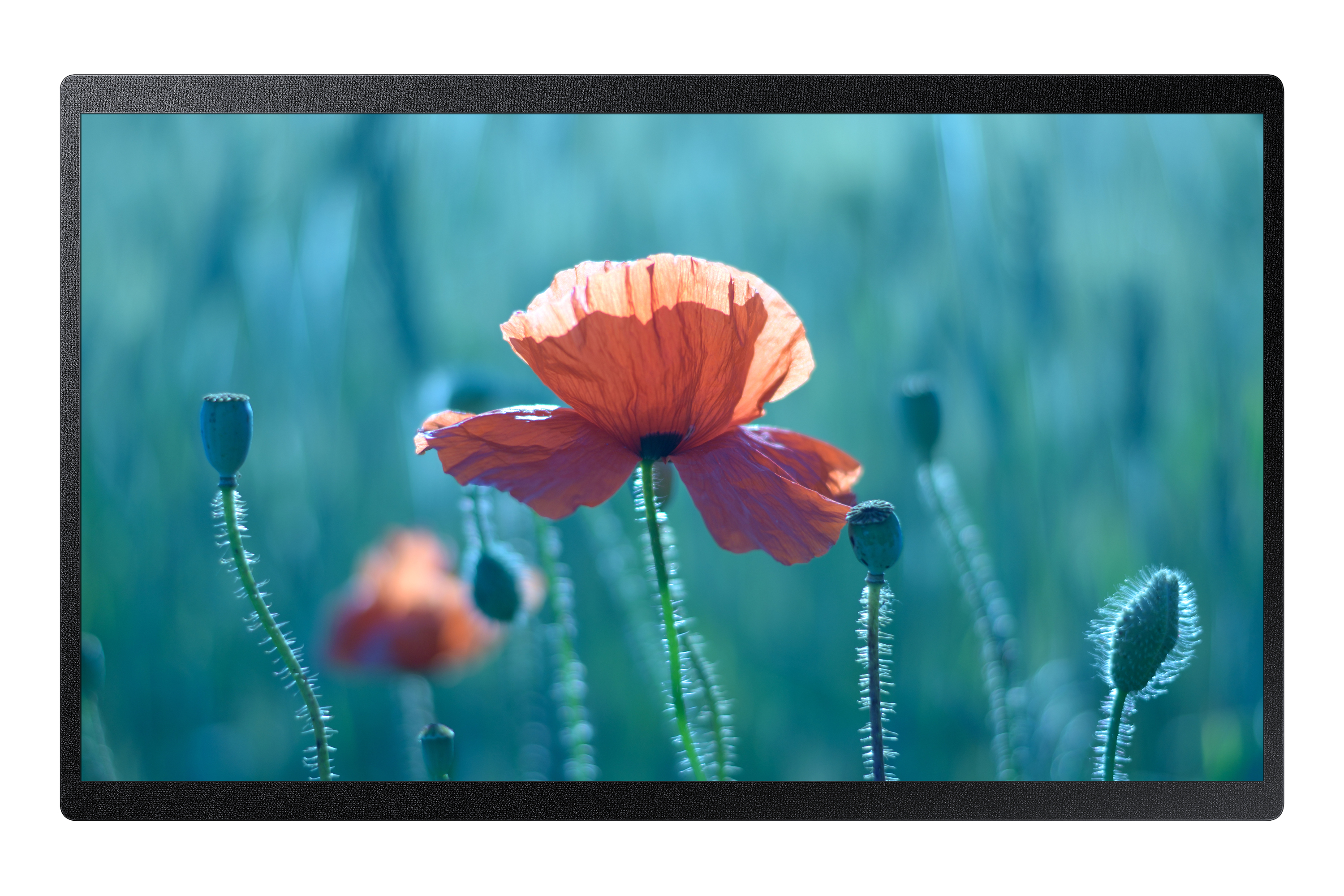 Samsung QB24R-B - 24" Categoria diagonale (23.8" visualizzabile) …