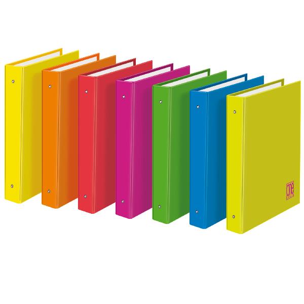 Blasetti One Color Fluo - Quaderno ad anelli …