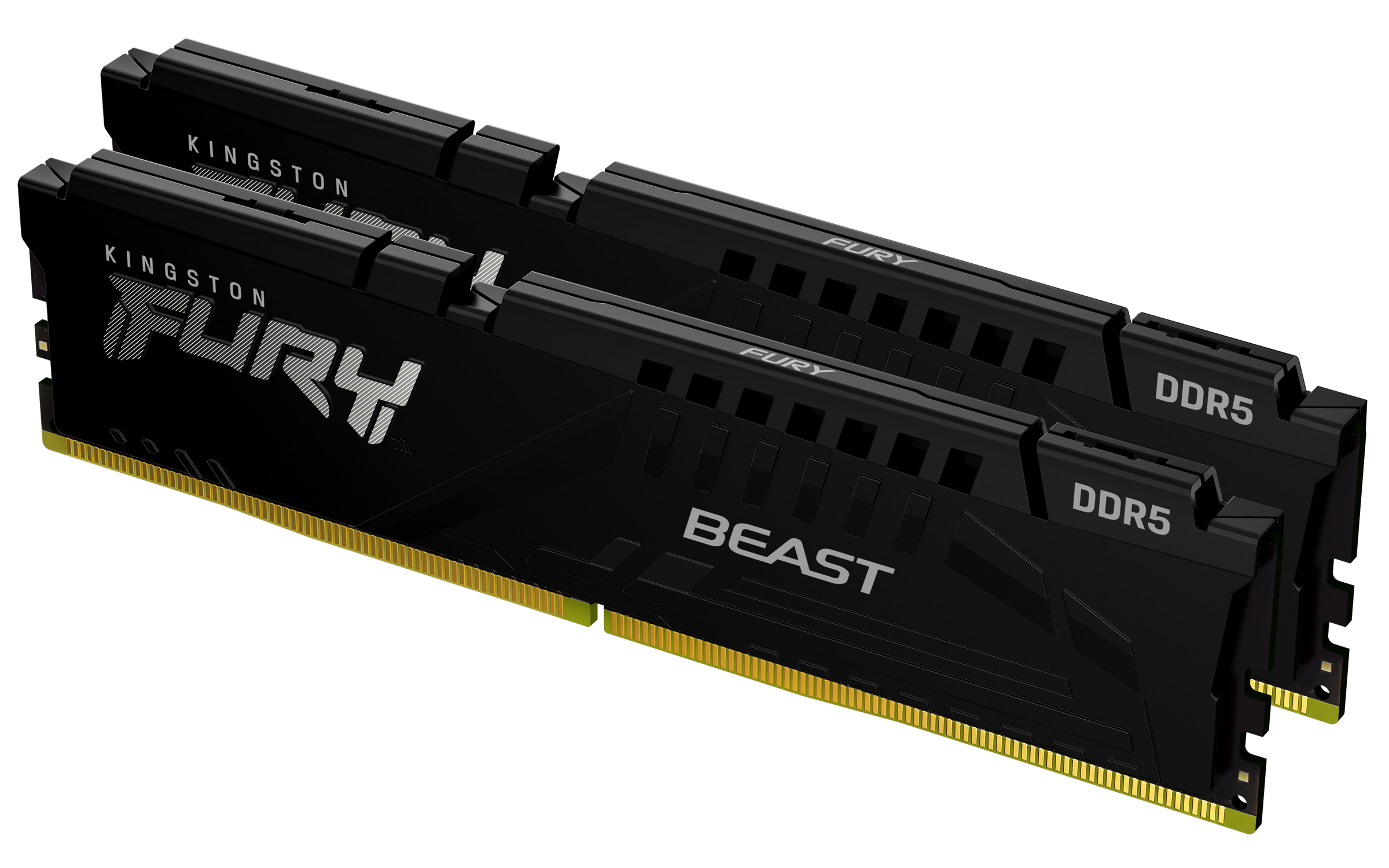 Kingston FURY Beast - DDR5 - kit - …