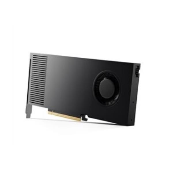 NVIDIA RTX 4000 Ada Generation - Scheda grafica …
