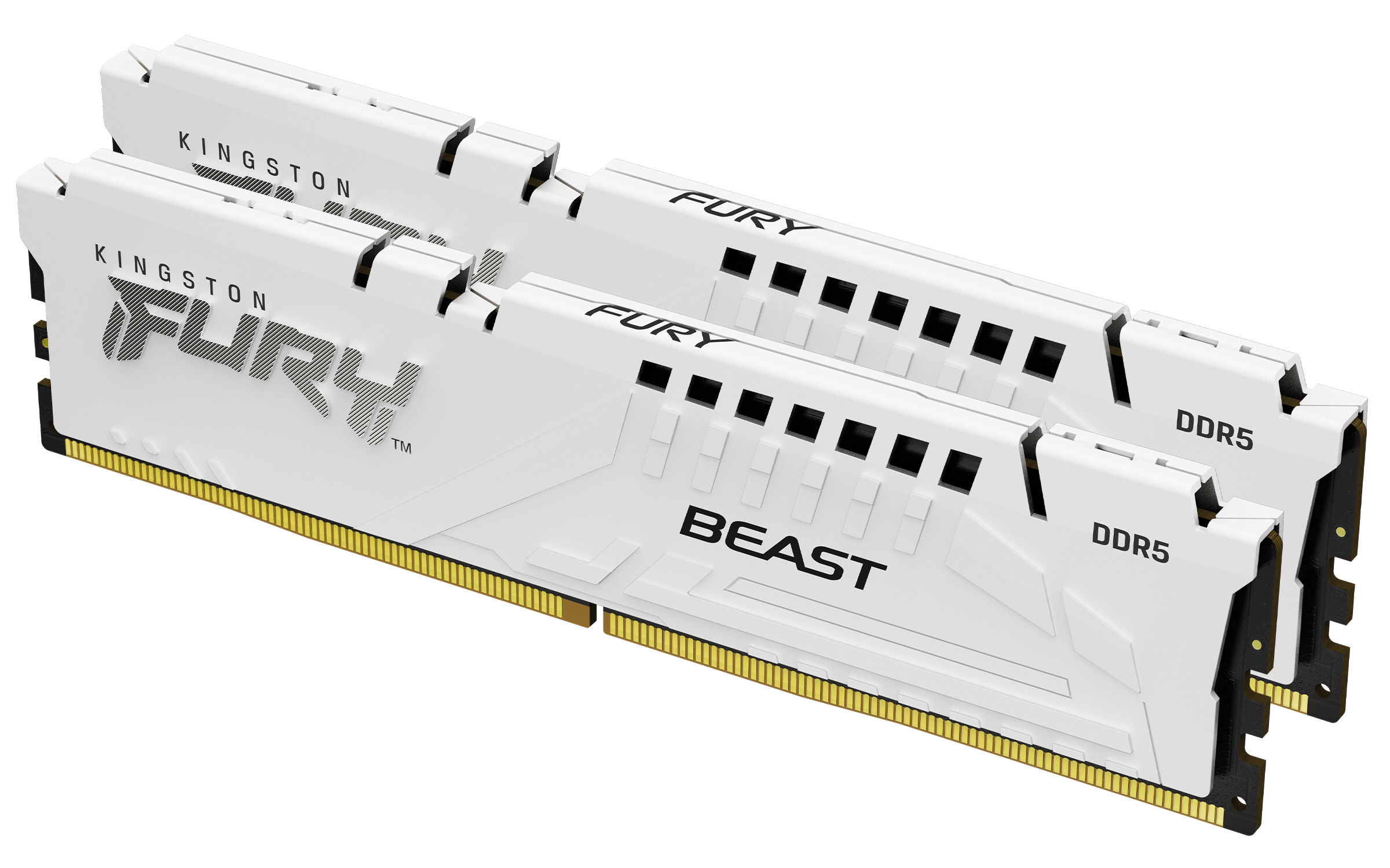 Kingston FURY Beast - DDR5 - kit - …