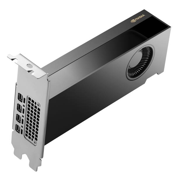 NVIDIA RTX 2000 Ada - Scheda grafica - …