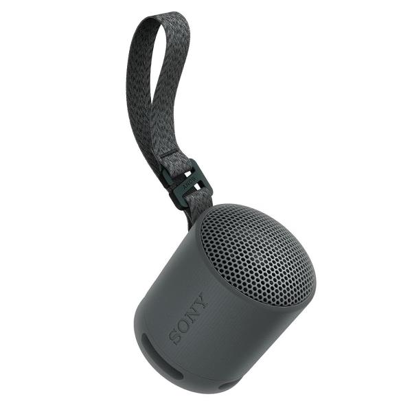 Sony SRS-XB100 - Altoparlante - portatile - senza …
