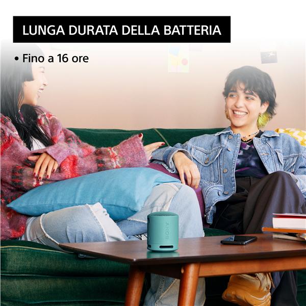 Sony SRS-XB100 - Altoparlante - portatile - senza …