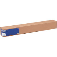 Epson - Lucido - Rotolo (91,4 cm x …