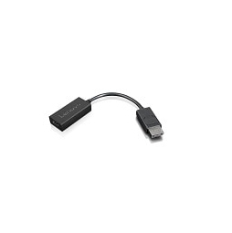 Lenovo - Adattatore video - DisplayPort maschio a …