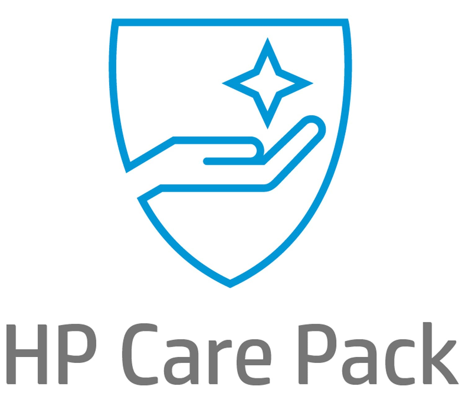 Electronic HP Care Pack Global Next Business Day …