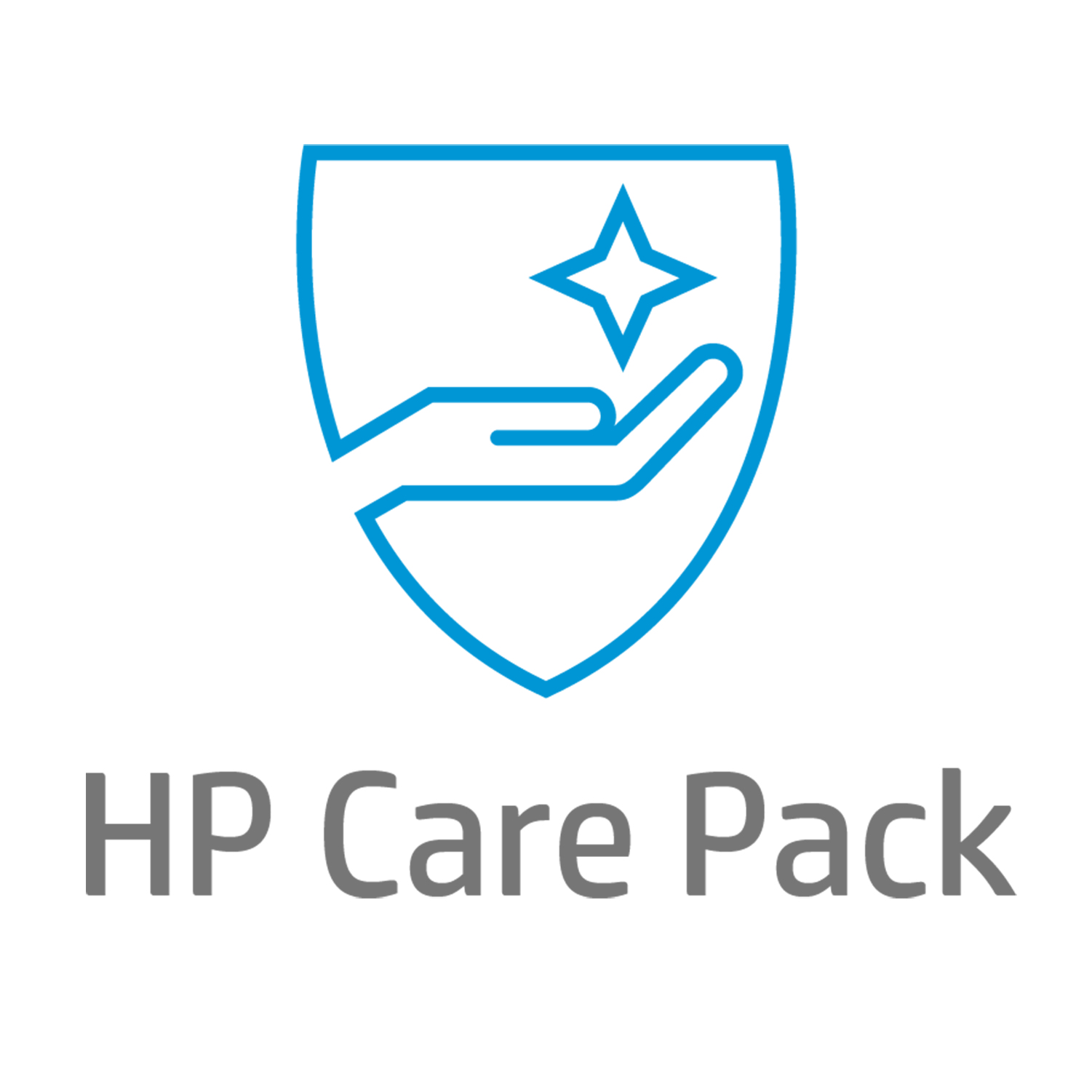 Electronic HP Care Pack Next Business Day Hardware …