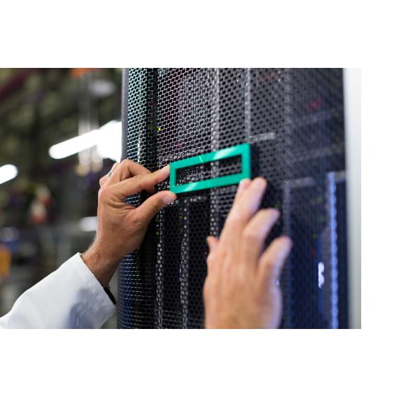ACCESSORI VARI INTEL HPE DL3X5 G11 NS204I-U ENABLE …