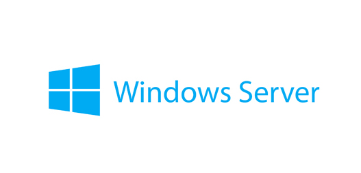 Microsoft Windows Server 2019 Client Access License (1 …