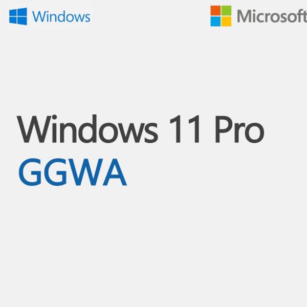 WINDOWS GGWA - WINDOWS 11 PRO N - …