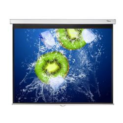 Optoma DS-3120PMG+