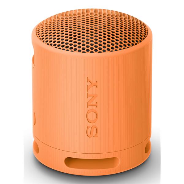 Sony SRS-XB100 - Altoparlante - portatile - senza …