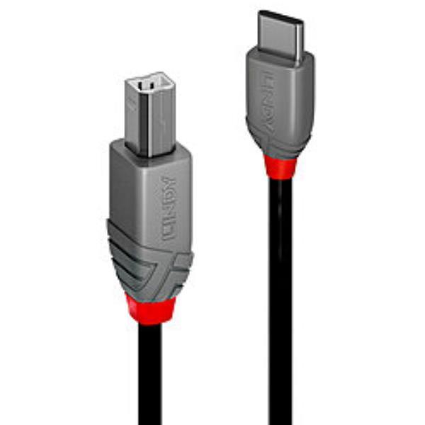 LINDY 0.5M CAVO USB 2.0 TIPO C B, …