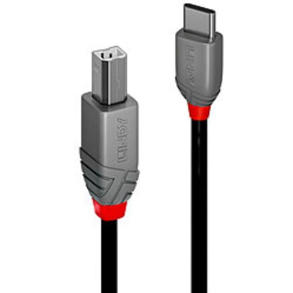 LINDY 1M CAVO USB 2.0 TIPO C A …