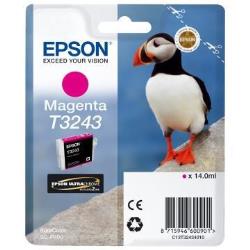 Epson - Cartuccia ink - Magenta - T3243 …