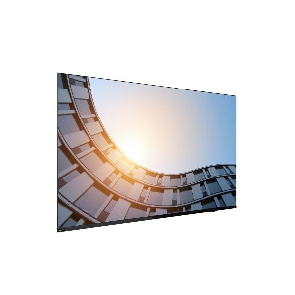 LENOVO THINKVISION E65