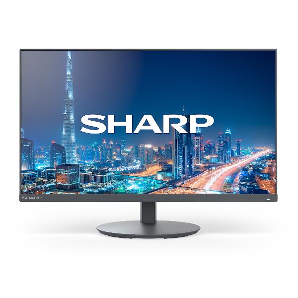 SHARP/NEC MULTISYNC DD-E244FL BLACK