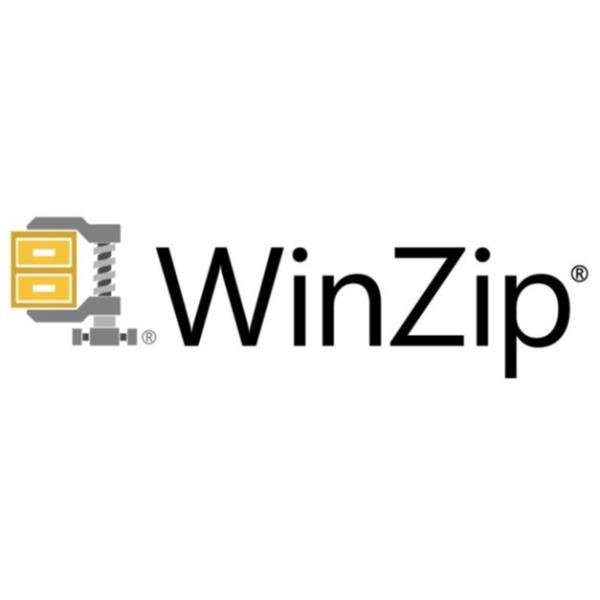 COREL WINZIP ENT MAINT (1YR) ML 100-999