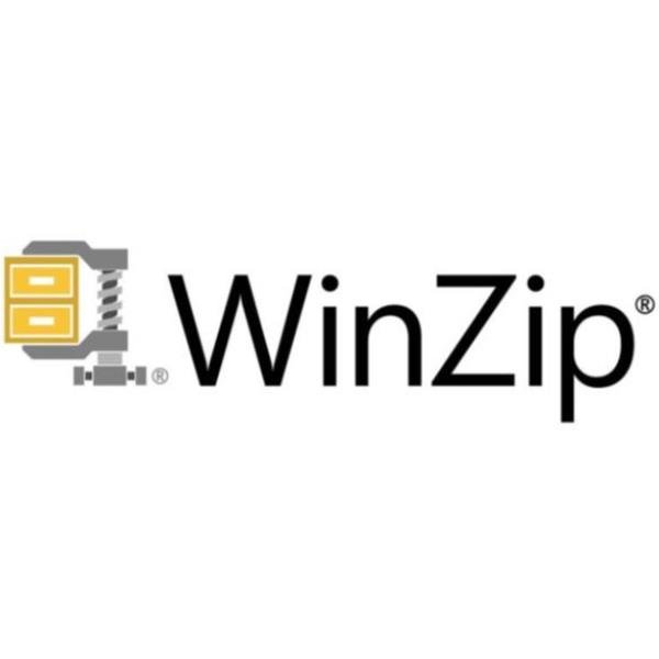 WINZIP 29 +1YR CORELSURE (2-49)