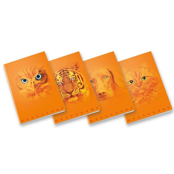 Pigna QUADERNO MONOCROMO ORANGE A4 100GR - 5 …