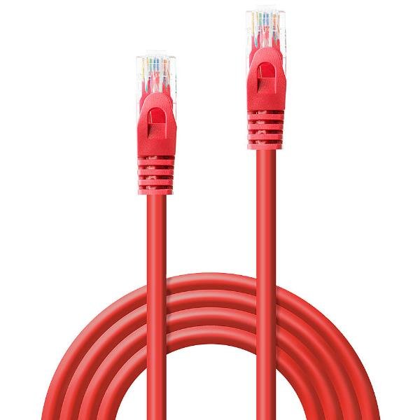 Lindy Basic - Cavo patch - RJ-45 (M) …