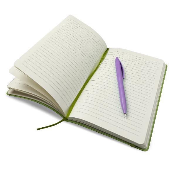 Display 15 taccuini One Color 96pag. A5 carta …