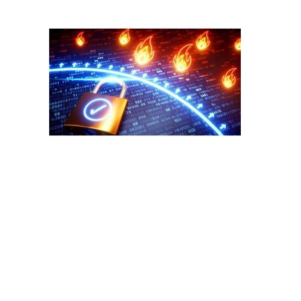 REEVO VIRT FRW-1ISTANZA DEDICATA-10GB