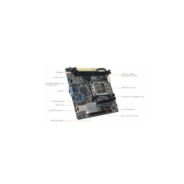 ASUS P13R-I INTEL C262 SCHEDA MADRE PER INTEL …