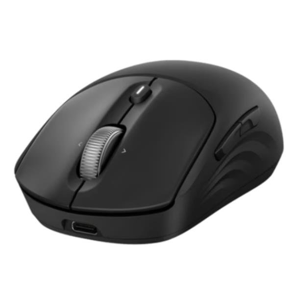 HP Mouse wireless ricaricabile 705, Casa, 118 mm, …