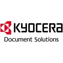 KYOCERA PF-791