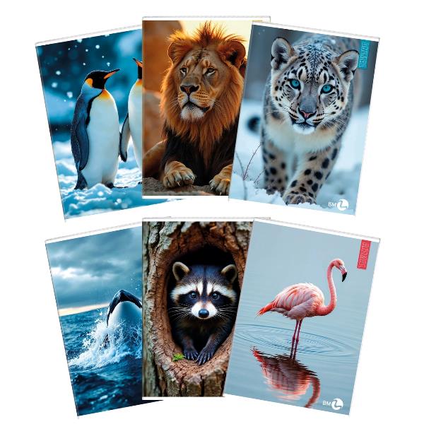 Maxiquaderno Animal 2020 - A4 - 40 + …