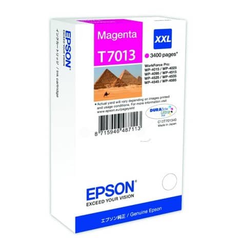 Epson T7013 - 34.2 ml - misura XXL …