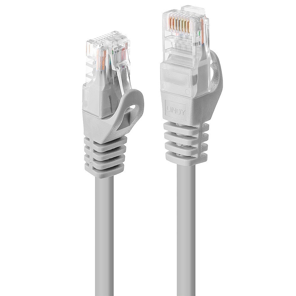 Lindy Basic - Cavo patch - RJ-45 (M) …