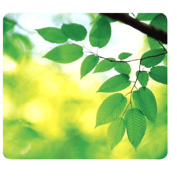 Fellowes Recycled Mouse Pad Leaves - Tappetino per …