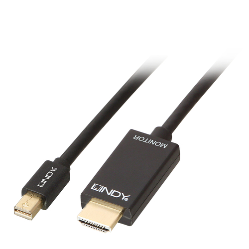 Lindy - Cavo adattatore - Mini DisplayPort maschio …