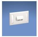 Panduit NetKey Horizontal Sloped Screw-On Faceplate - Faceplate …