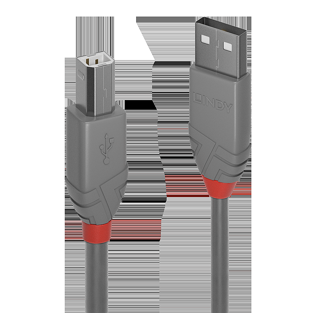 Lindy Anthra Line - Cavo USB - USB …