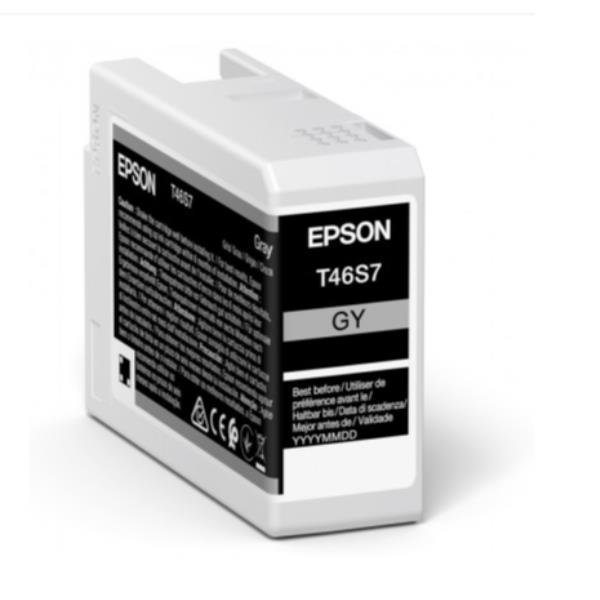 Epson T46S7 - 25 ml - grigio - …