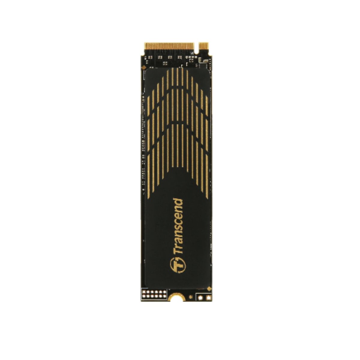 Transcend 240S - SSD - 1 TB - …