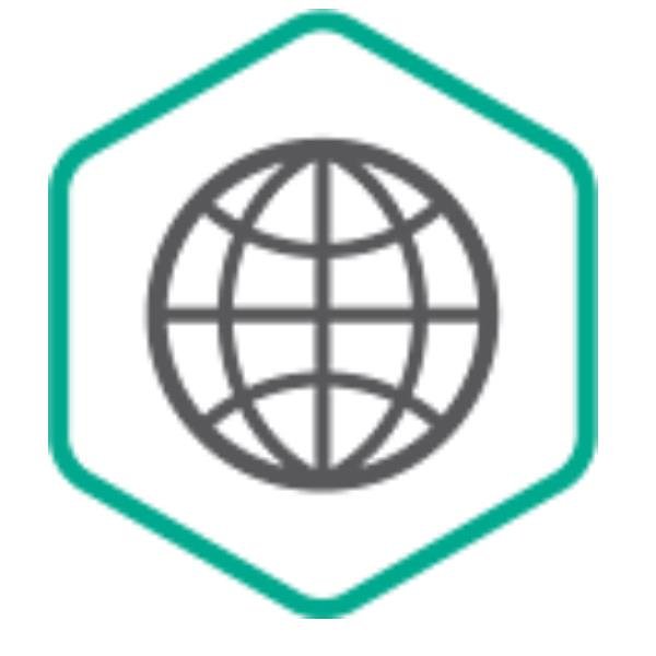 Kaspersky Security for Internet Gateway - Licenza a …